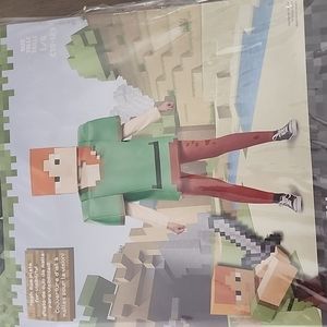 Minecraft costume size 10